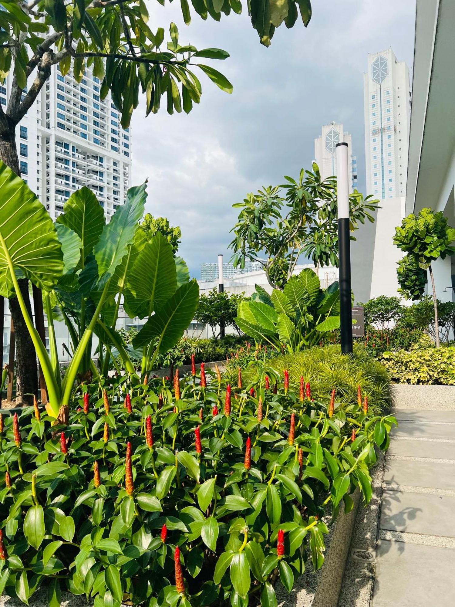 Quill Service Kuala Lumpur